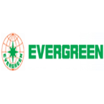 evergreen.png